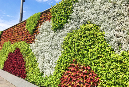 沈陽(yáng)仿真植物